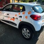 Rotulación de Vehículos